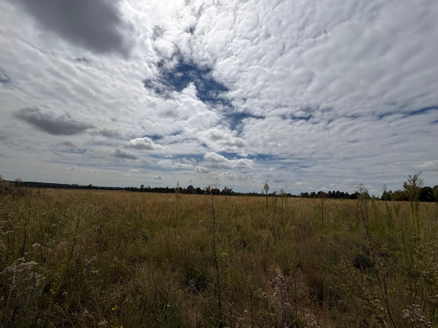 0 Bedroom Property for Sale in Vaalpark Free State